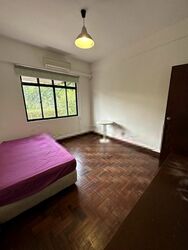 Bartley Road (D19), Terrace #415971551